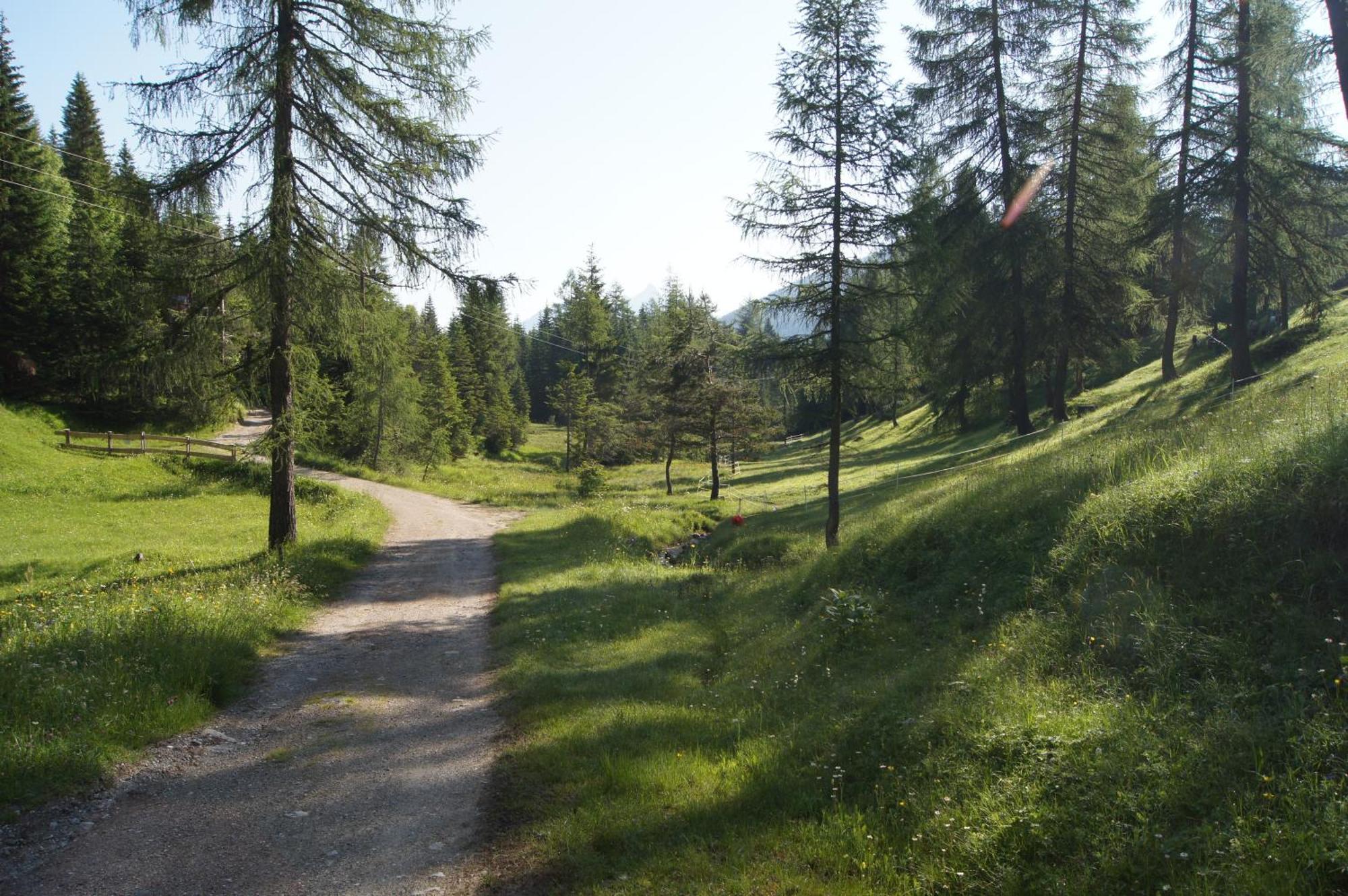 Landhotel Wolf Leutasch Esterno foto